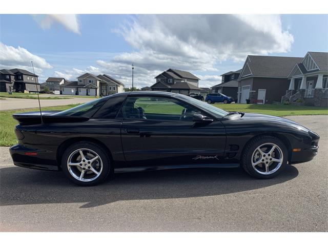2002 Pontiac Firebird Trans Am Firehawk (CC-1304902) for sale in Scottsdale, Arizona