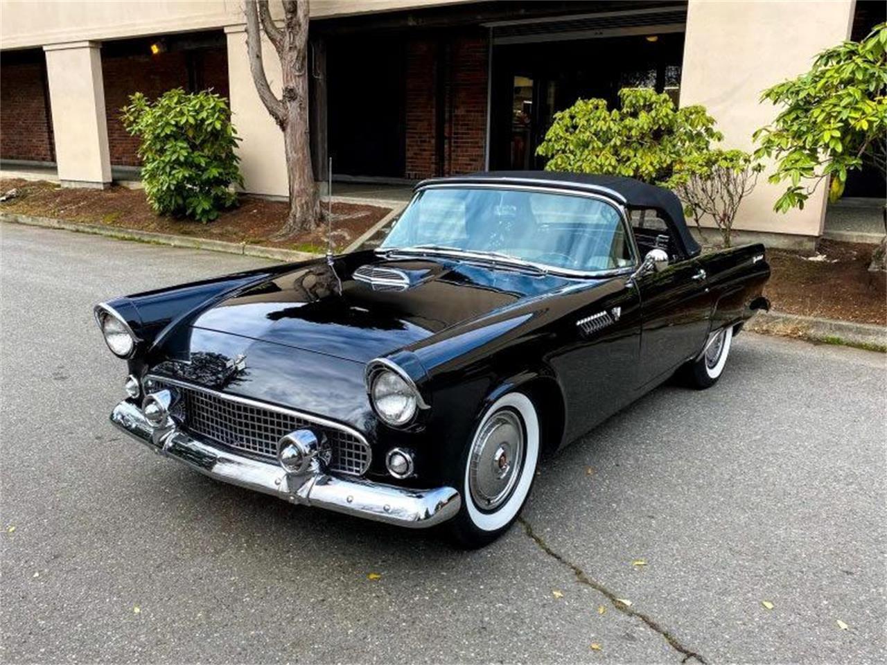 Ford Thunderbird 1950