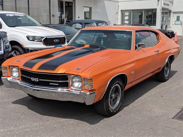 1971 Chevrolet Chevelle SS (CC-1305524) for sale in Toronto, Ontario