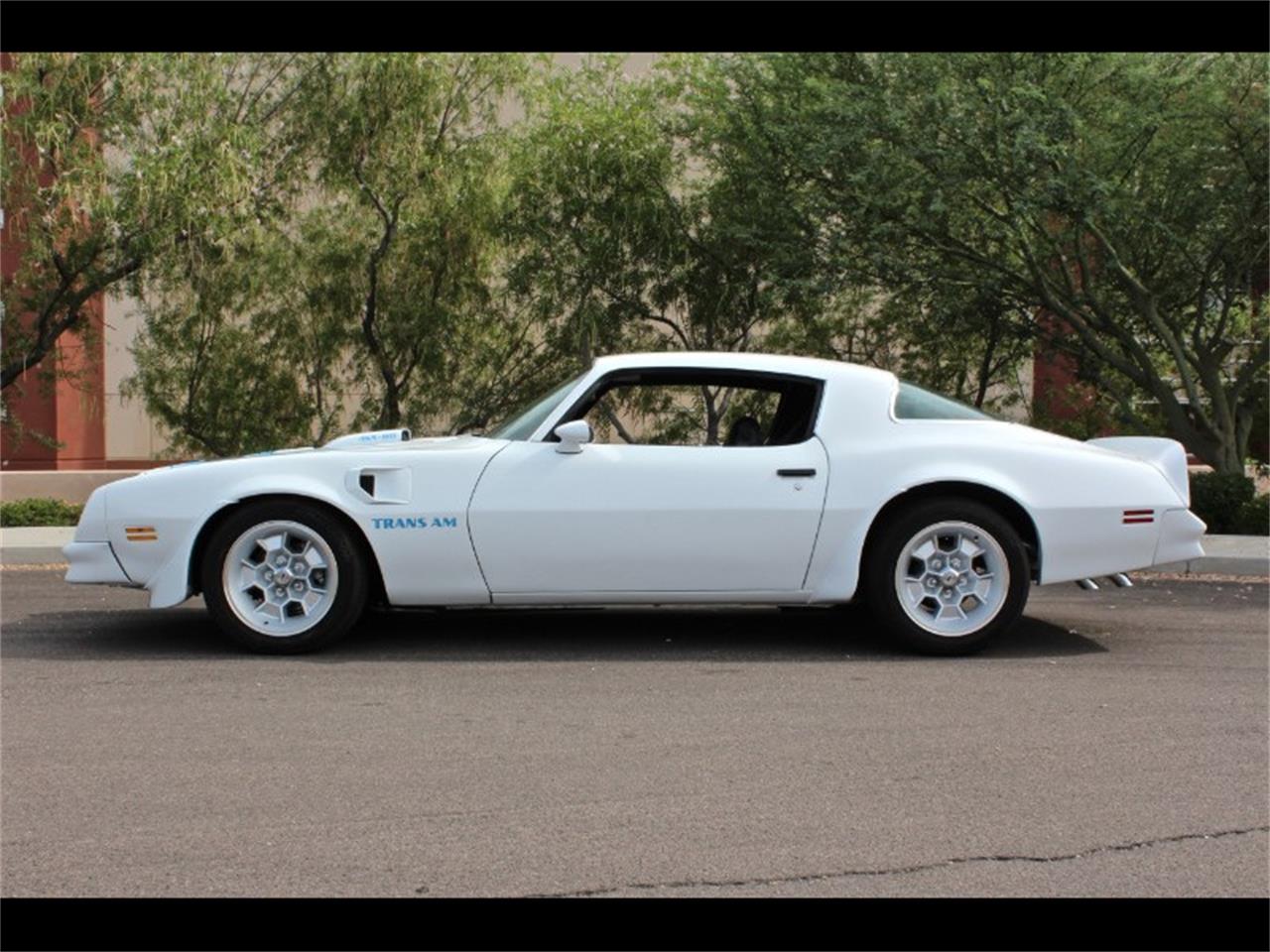 1976 Pontiac Firebird Trans Am for Sale | ClassicCars.com | CC-1305742