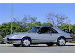 1984 Ford Mustang SVO (CC-1307088) for sale in Scottsdale, Arizona