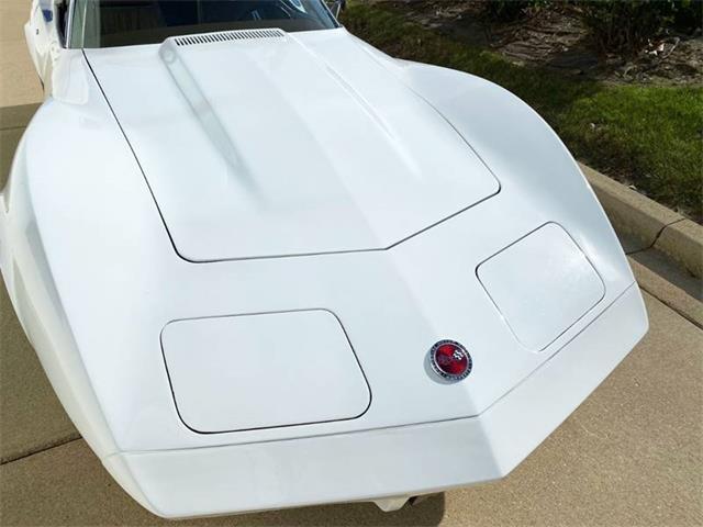 1974 Chevrolet Corvette (CC-1307296) for sale in Burr Ridge, Illinois
