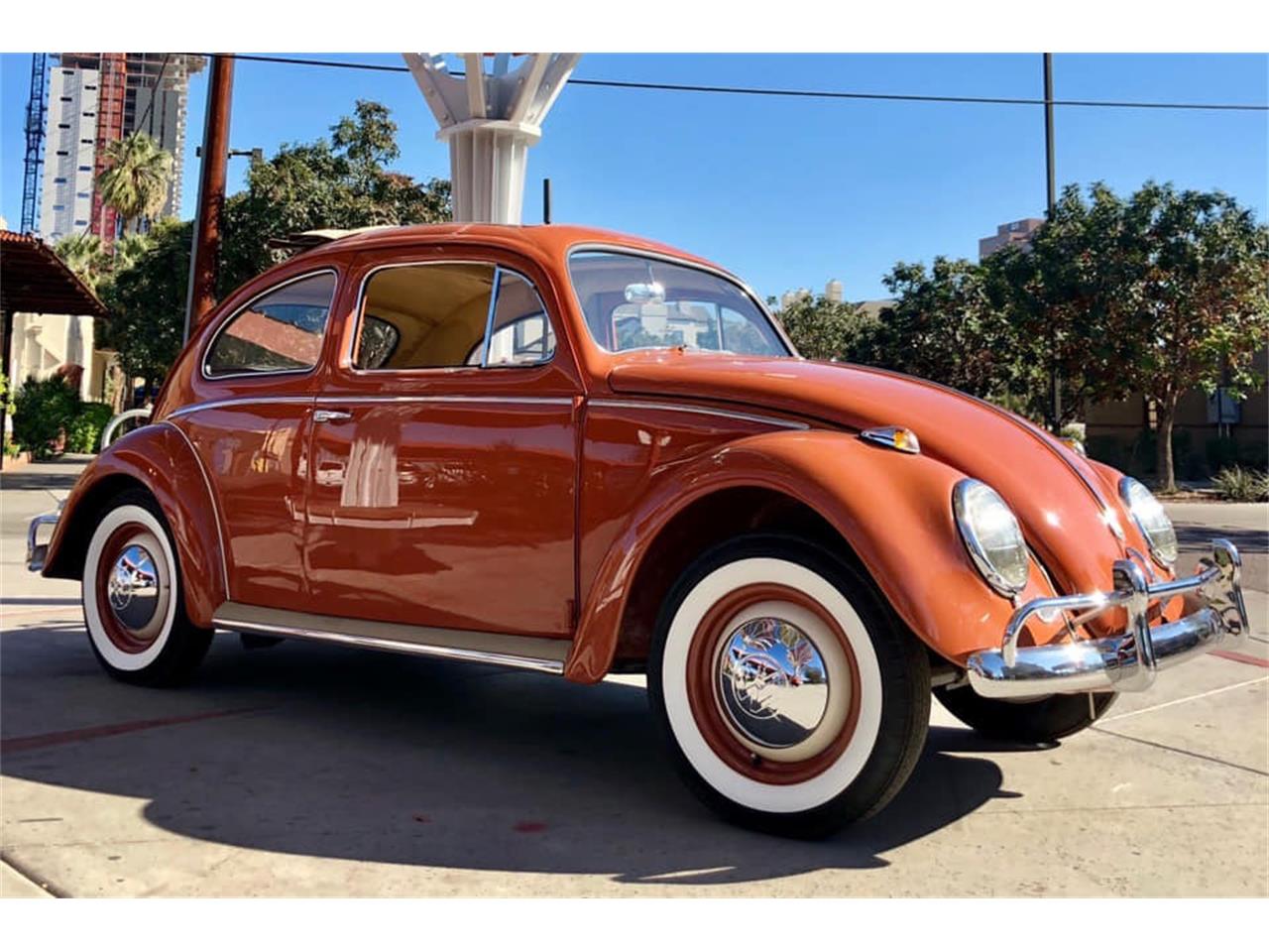 Volkswagen beetle 1959