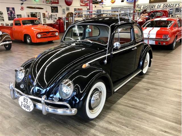 1961 Volkswagen Beetle (CC-1300800) for sale in Seattle, Washington