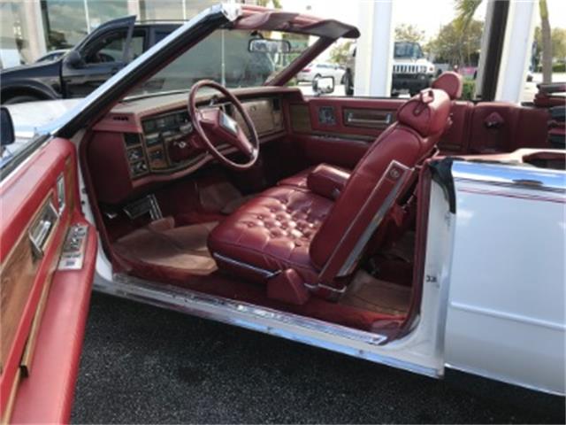 1984 Cadillac Eldorado (CC-1308196) for sale in Miami, Florida