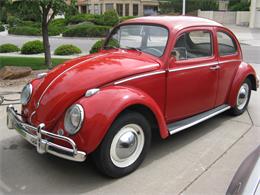 1961 Volkswagen Beetle (CC-1300848) for sale in Albuquerque, New Mexico