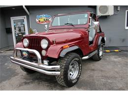 1978 Jeep CJ5 (CC-1309338) for sale in Hilton, New York