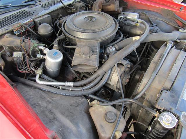 1979 Chevrolet Camaro (CC-1309409) for sale in Orlando, Florida