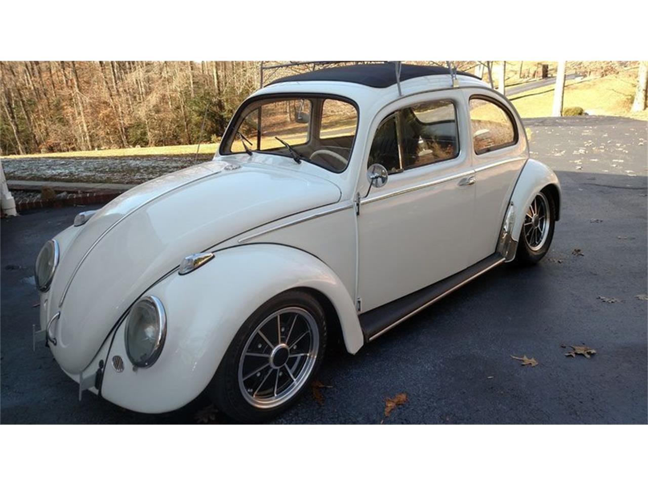 Volkswagen beetle 1959