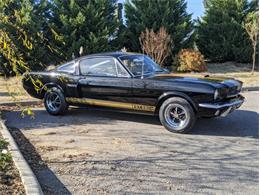 1966 Shelby GT350 (CC-1312265) for sale in Greensboro, North Carolina