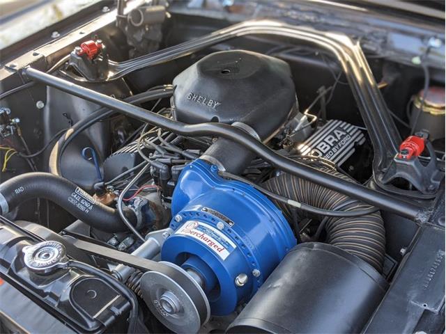 1966 Shelby GT350 (CC-1312265) for sale in Greensboro, North Carolina
