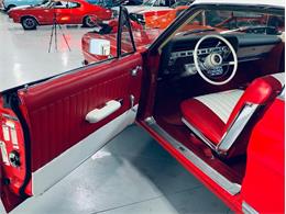 1967 Ford Galaxie (CC-1312526) for sale in Palmetto, Florida