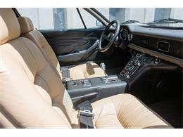 1982 De Tomaso Pantera (CC-1313439) for sale in St. Louis, Missouri
