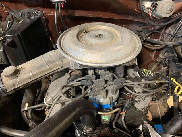 1982 Ford Bronco (CC-1313507) for sale in Redmond, Oregon