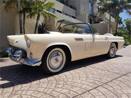 1956 Ford Thunderbird (CC-1310398) for sale in La Jolla, California