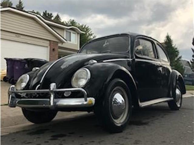 1963 Volkswagen Beetle (CC-1315090) for sale in Denver, Colorado
