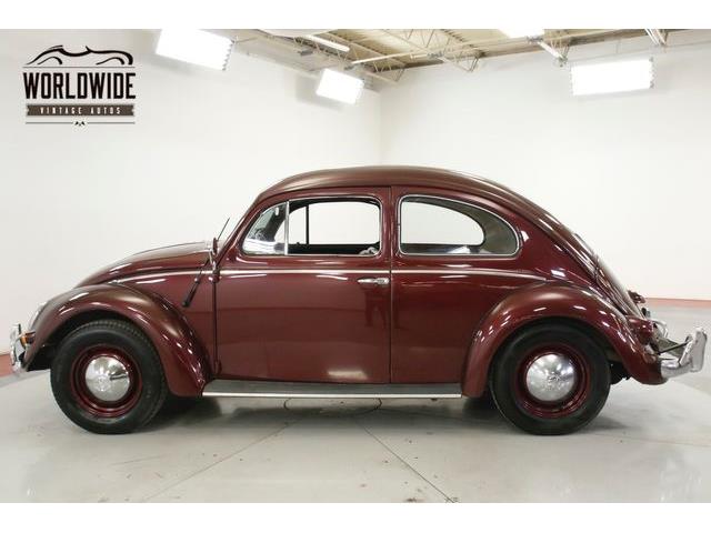 1957 Volkswagen Beetle (CC-1316662) for sale in Denver , Colorado