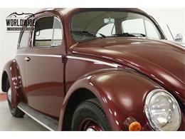 1957 Volkswagen Beetle (CC-1316662) for sale in Denver , Colorado