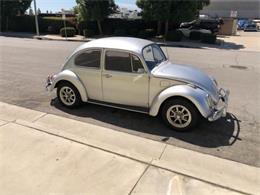 1969 Volkswagen Beetle (CC-1310696) for sale in Cadillac, Michigan
