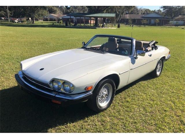 1990 Jaguar XJS (CC-1317835) for sale in Lakeland, Florida