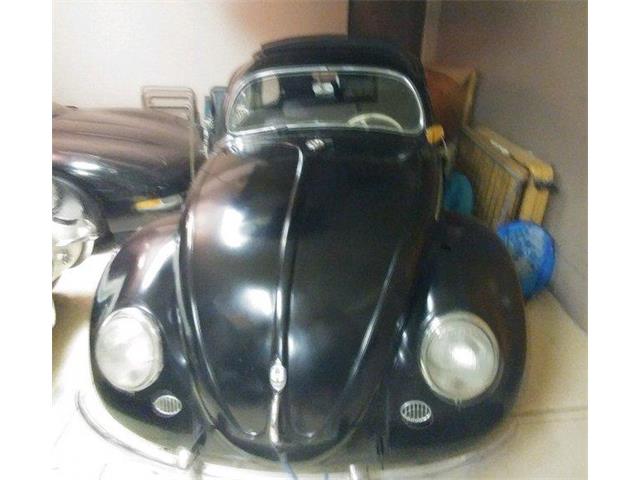 1956 Volkswagen Beetle (CC-1318613) for sale in Tampa, Florida