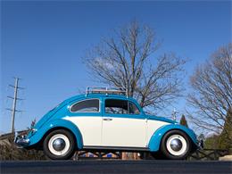 1964 Volkswagen Beetle (CC-1318640) for sale in Alpharetta, Georgia