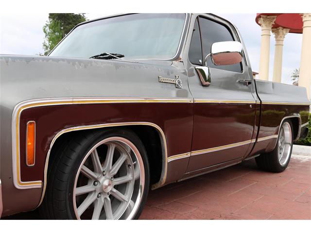 1977 Chevrolet C10 (CC-1310091) for sale in Conroe, Texas