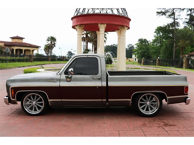 1977 Chevrolet C10 (CC-1310091) for sale in Conroe, Texas