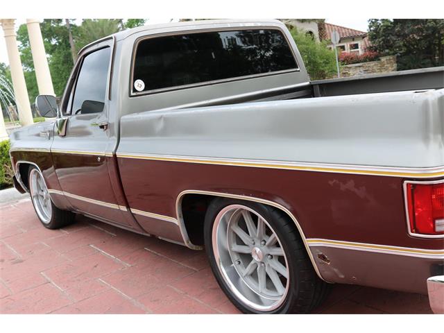 1977 Chevrolet C10 (CC-1310091) for sale in Conroe, Texas