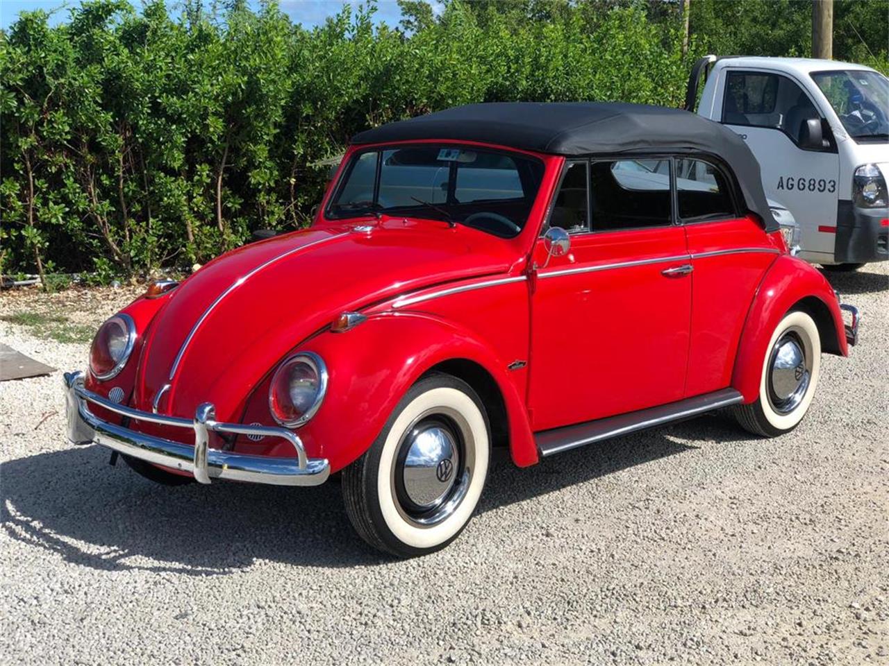 1964 Volkswagen Beetle for Sale | ClassicCars.com | CC-1310948