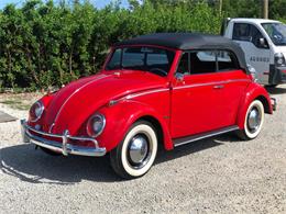 1964 Volkswagen Beetle (CC-1310948) for sale in Walnut, California