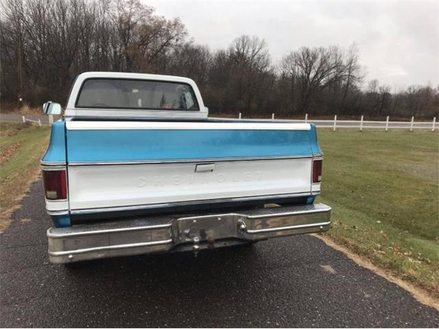 1979 Chevrolet C20 (CC-1320116) for sale in Cadillac, Michigan