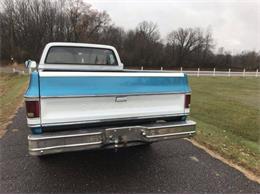1979 Chevrolet C20 (CC-1320116) for sale in Cadillac, Michigan