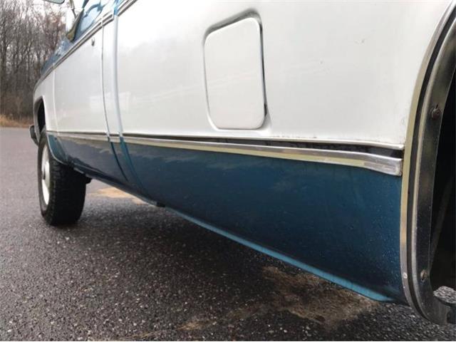 1979 Chevrolet C20 (CC-1320116) for sale in Cadillac, Michigan