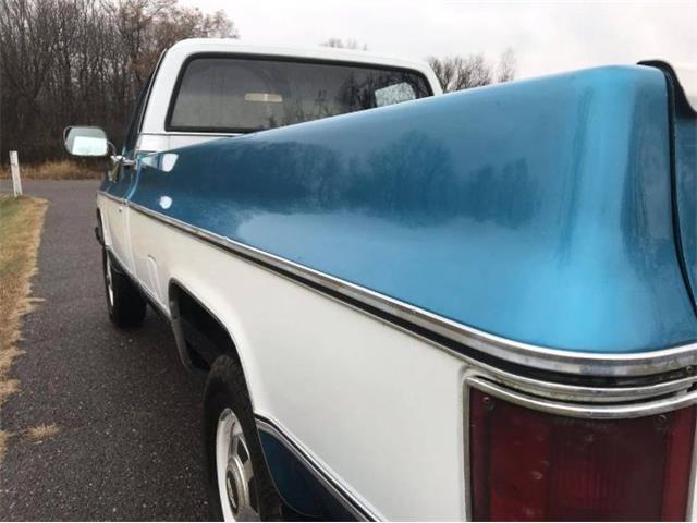 1979 Chevrolet C20 (CC-1320116) for sale in Cadillac, Michigan