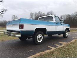 1979 Chevrolet C20 (CC-1320116) for sale in Cadillac, Michigan
