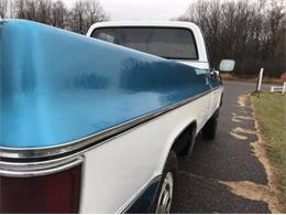 1979 Chevrolet C20 (CC-1320116) for sale in Cadillac, Michigan