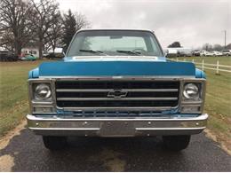 1979 Chevrolet C20 (CC-1320116) for sale in Cadillac, Michigan