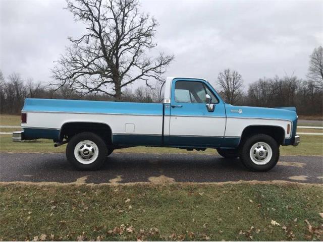 1979 Chevrolet C20 (CC-1320116) for sale in Cadillac, Michigan
