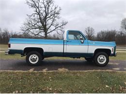 1979 Chevrolet C20 (CC-1320116) for sale in Cadillac, Michigan
