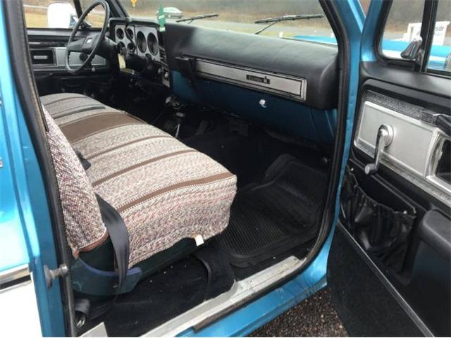 1979 Chevrolet C20 (CC-1320116) for sale in Cadillac, Michigan