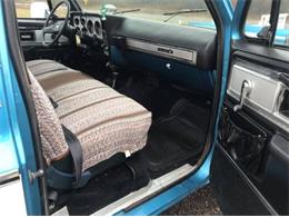 1979 Chevrolet C20 (CC-1320116) for sale in Cadillac, Michigan