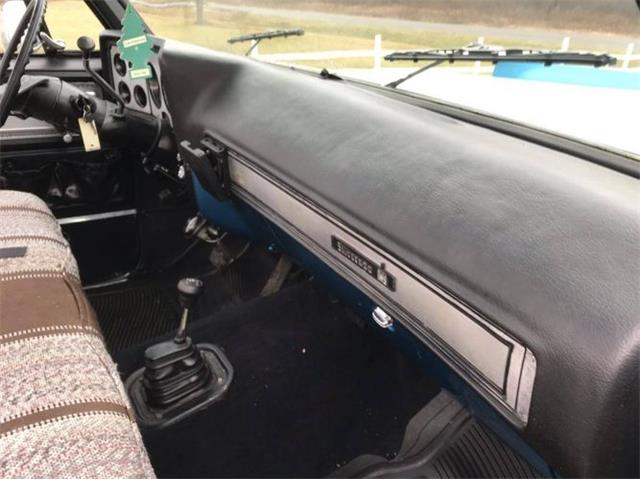 1979 Chevrolet C20 (CC-1320116) for sale in Cadillac, Michigan