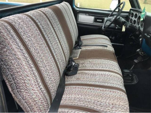 1979 Chevrolet C20 (CC-1320116) for sale in Cadillac, Michigan