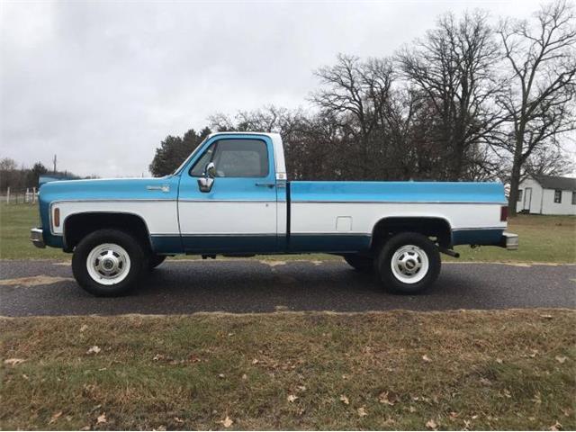 1979 Chevrolet C20 (CC-1320116) for sale in Cadillac, Michigan