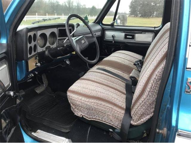 1979 Chevrolet C20 (CC-1320116) for sale in Cadillac, Michigan
