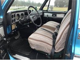 1979 Chevrolet C20 (CC-1320116) for sale in Cadillac, Michigan
