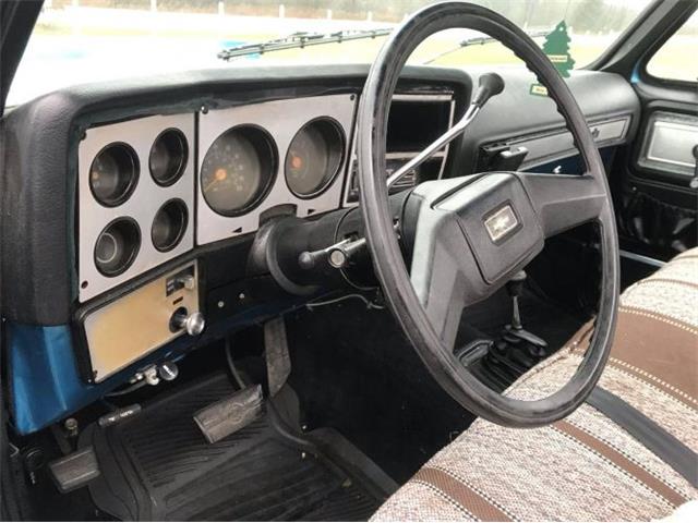 1979 Chevrolet C20 (CC-1320116) for sale in Cadillac, Michigan