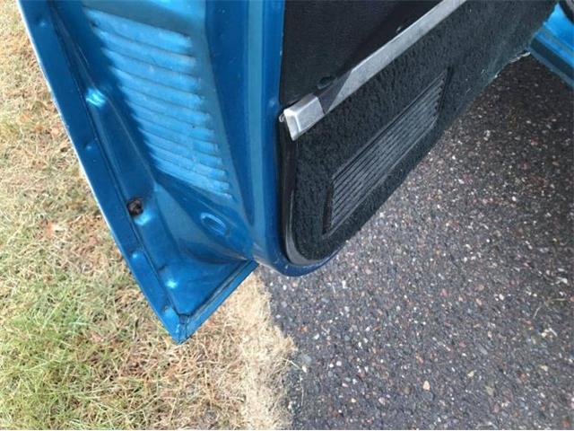 1979 Chevrolet C20 (CC-1320116) for sale in Cadillac, Michigan