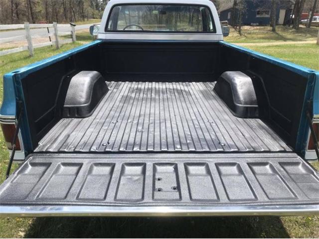1979 Chevrolet C20 (CC-1320116) for sale in Cadillac, Michigan